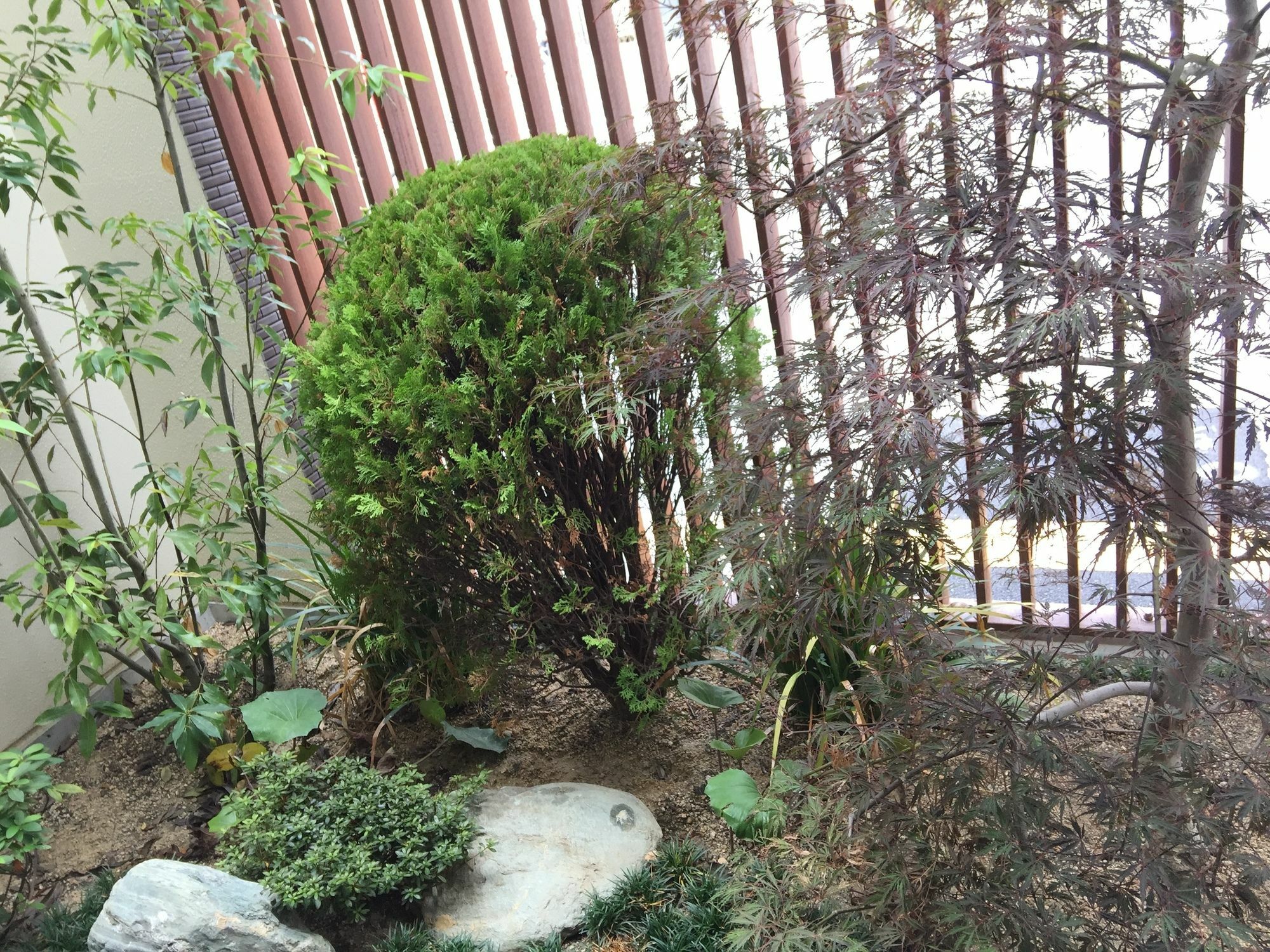 Hotel Links Dobutsuenmae Osaka Bagian luar foto